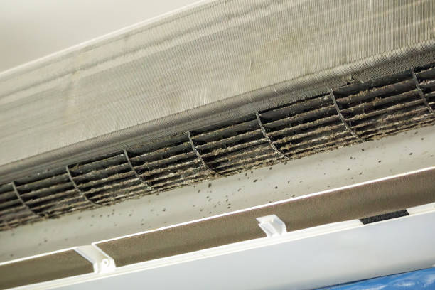 Best Ductwork Cleaning Services  in Lake View, AL