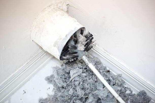 Best Affordable HVAC Duct Cleaning  in Lake View, AL